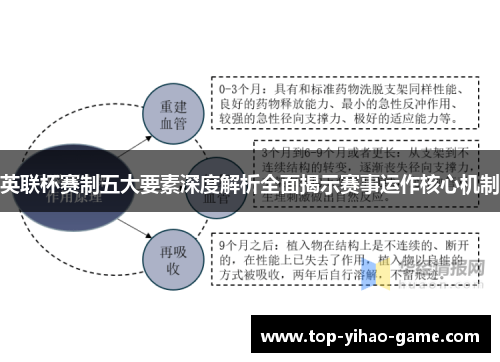 英联杯赛制五大要素深度解析全面揭示赛事运作核心机制