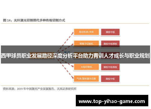 西甲球员职业发展路径深度分析平台助力青训人才成长与职业规划 西甲球员职业发展路径深度分析平台助力青训人才成长与职业规划